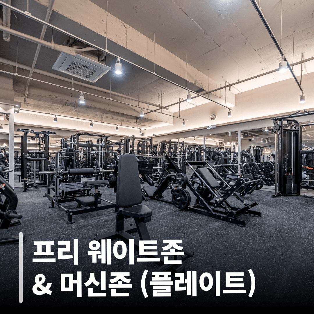 프리 웨이트존 & 머신존 (플레이트)