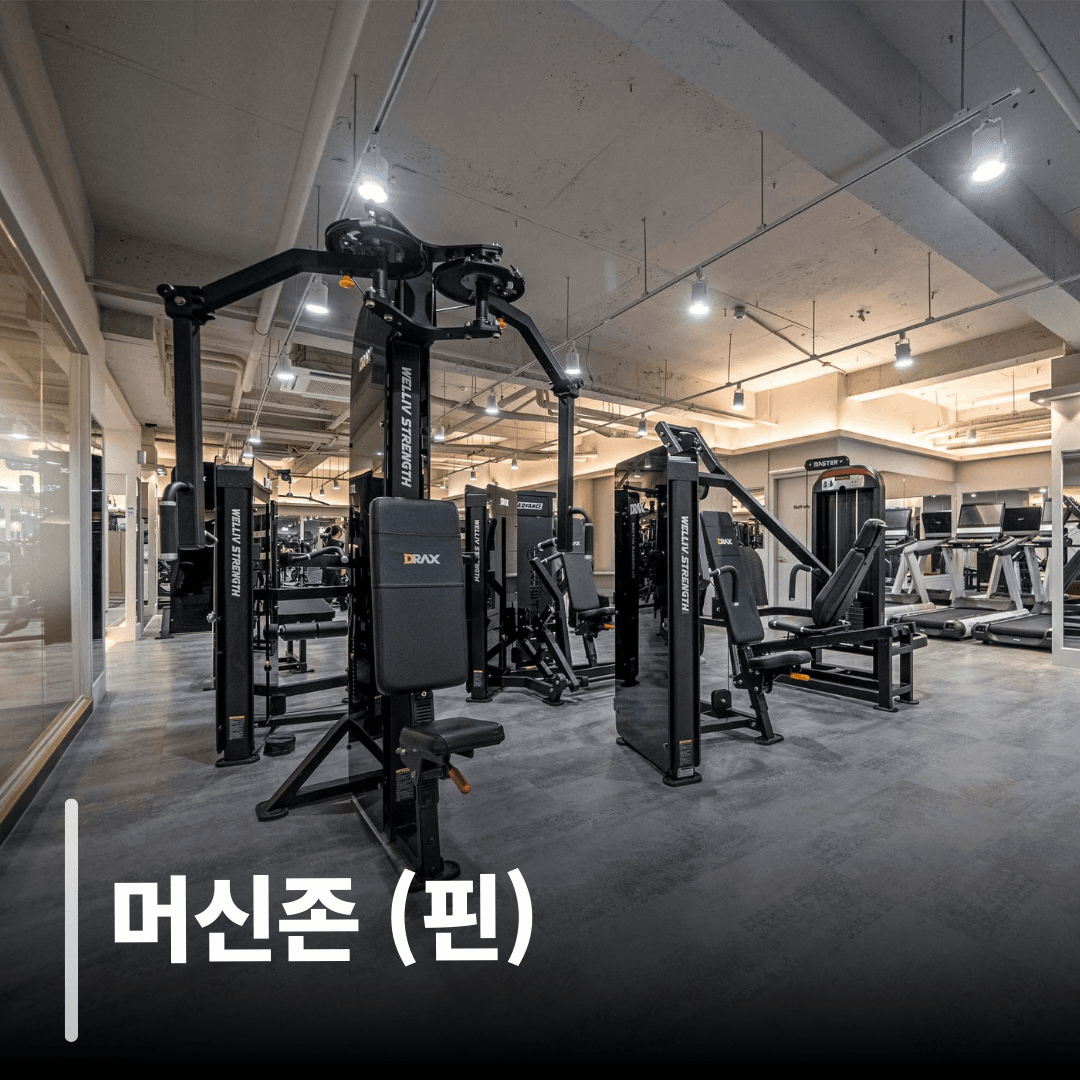 머신존 (핀)